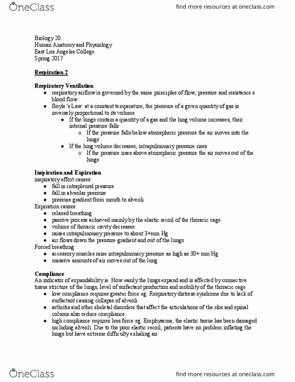 BIOLOGY 20 Lecture Notes - Lecture 32: Elastic Fiber, Bronchiole, East Los Angeles College thumbnail