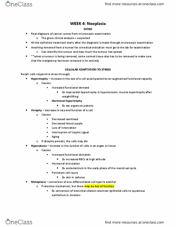 Pathology 3500 Lecture Notes - Lecture 5: Immunocytochemistry, Fibroblast Growth Factor, Mucosa-Associated Lymphoid Tissue thumbnail