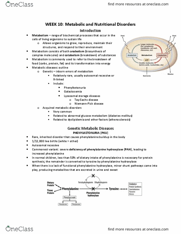 Pathology 3500 Lecture Notes - Lecture 9: Lysosomal Storage Disease, Phenylalanine, Dyslipidemia thumbnail