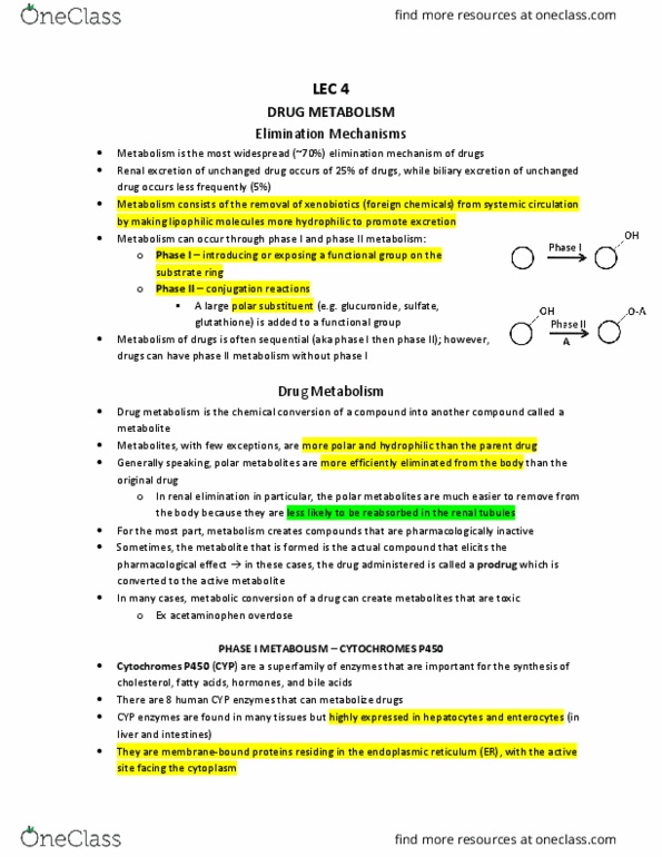 Pharmacology 3620 Lecture Notes - Lecture 4: Hepatocyte, Intestinal Villus, Prodrug thumbnail