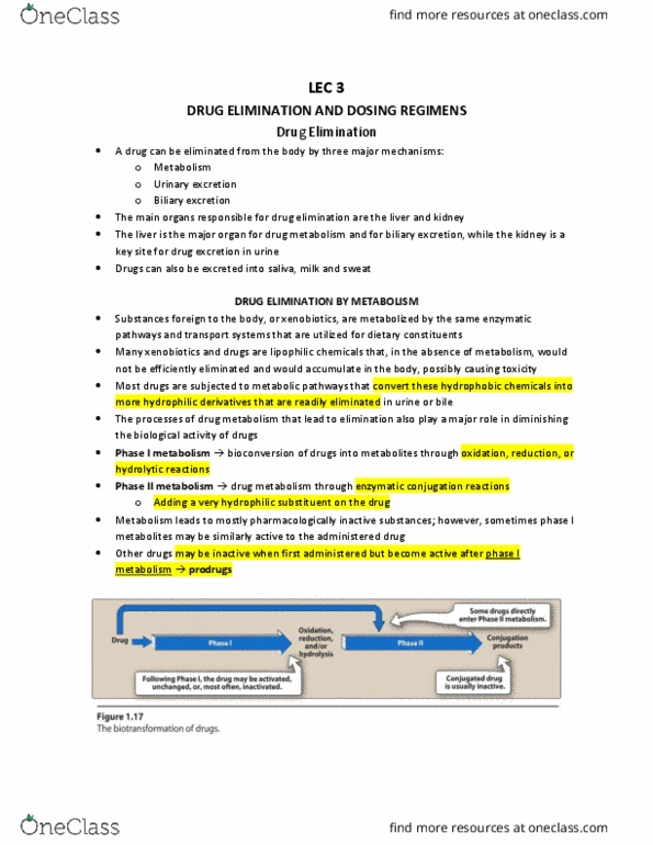 Pharmacology 3620 Lecture Notes - Lecture 3: Common Hepatic Artery, Arteriole, Afferent Arterioles thumbnail