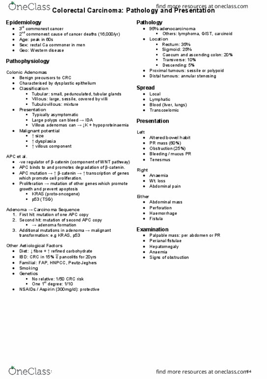 HTHSCI 1DT3 Lecture Notes - Lecture 13: Proctoscopy, Catenin, Glycemic Index thumbnail