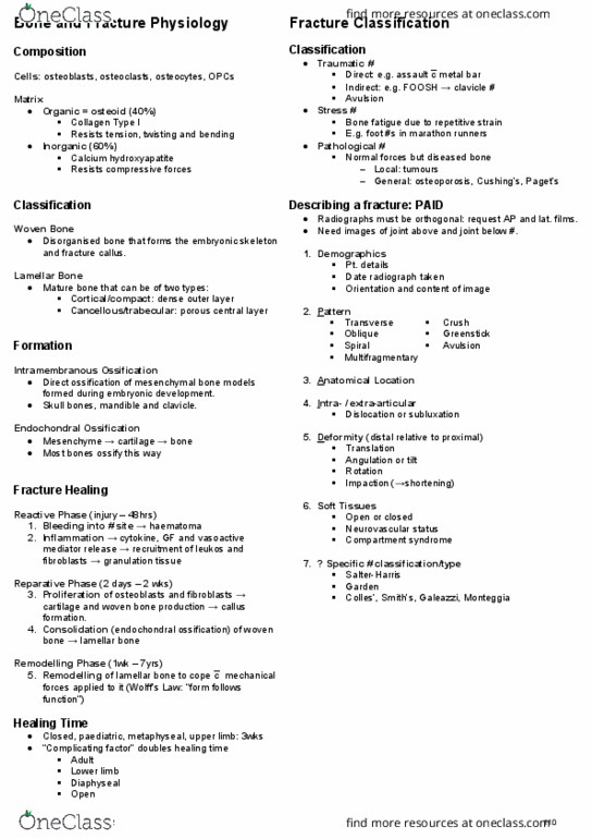HTHSCI 2F03 Lecture Notes - Lecture 13: Endochondral Ossification, Type I Collagen, Ossification thumbnail