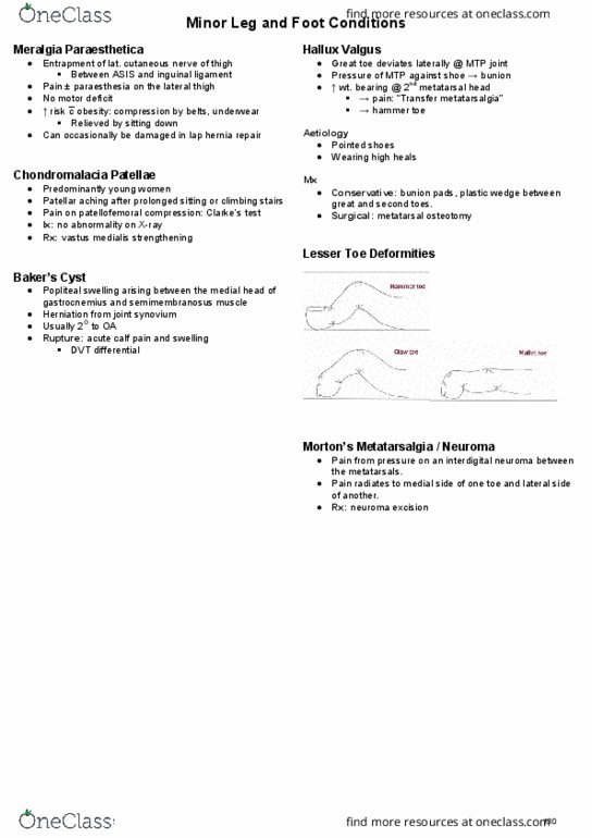 HTHSCI 2F03 Lecture Notes - Lecture 12: Vastus Medialis, Metatarsalgia, Inguinal Ligament thumbnail