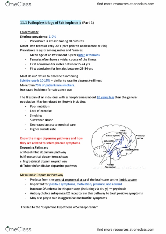 PHRM 311 Lecture Notes - Lecture 11: Dyskinesia, Ventromedial Prefrontal Cortex, Tegmentum thumbnail