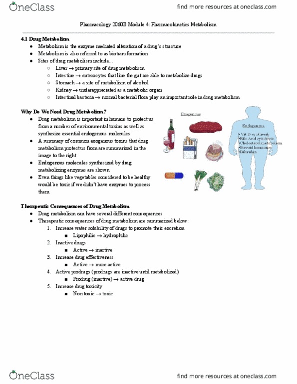 Pharmacology 2060A/B Lecture Notes - Lecture 4: Methyl Group, Cyp2C9, Hepatotoxicity thumbnail