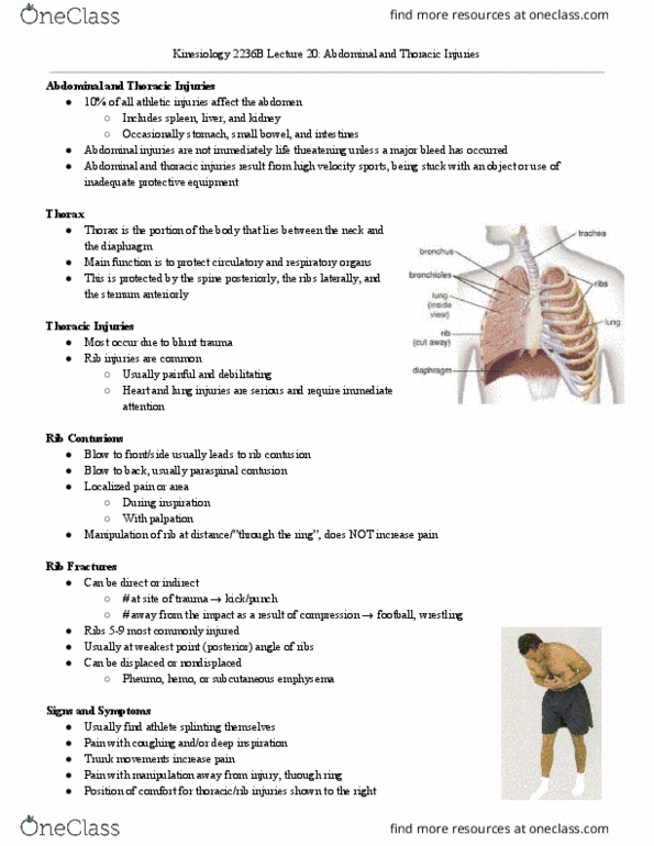 Kinesiology 2236A/B Lecture Notes - Lecture 20: Abdominal Wall, Medical Emergency, Ice Pack thumbnail