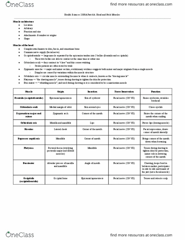 Health Sciences 2300A/B Lecture Notes - Lecture 6: Digastric Muscle, Risorius, Orbicularis Oris Muscle thumbnail