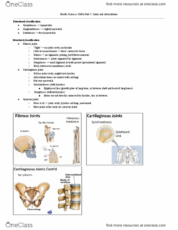 Health Sciences 2300A/B Lecture Notes - Lecture 5: Fibrous Joint, Long Bone, Sphenomandibular Ligament thumbnail