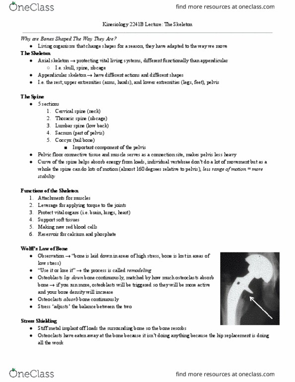Kinesiology 2241A/B Lecture Notes - Lecture 3: Appendicular Skeleton, Pelvic Floor, Diaphysis thumbnail