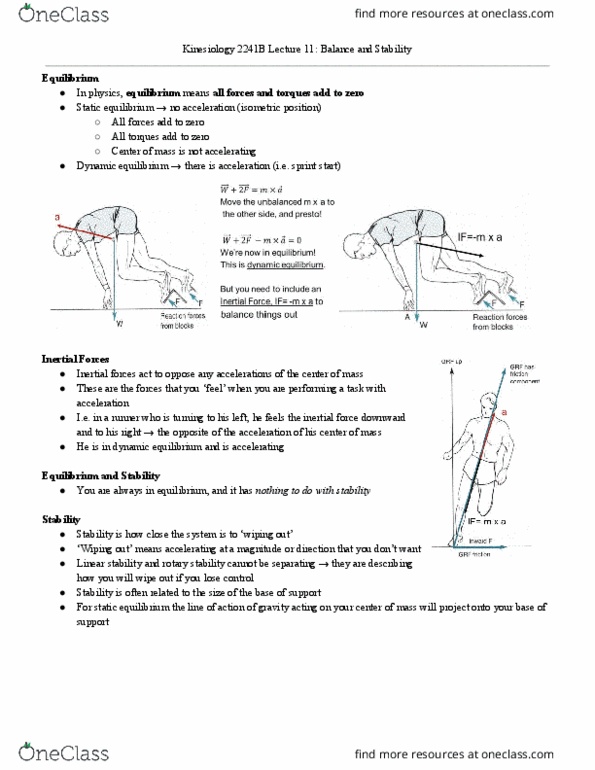 Kinesiology 2241A/B Lecture Notes - Lecture 11: Proprioception, Anatomical Terms Of Motion, Dynamic Equilibrium thumbnail