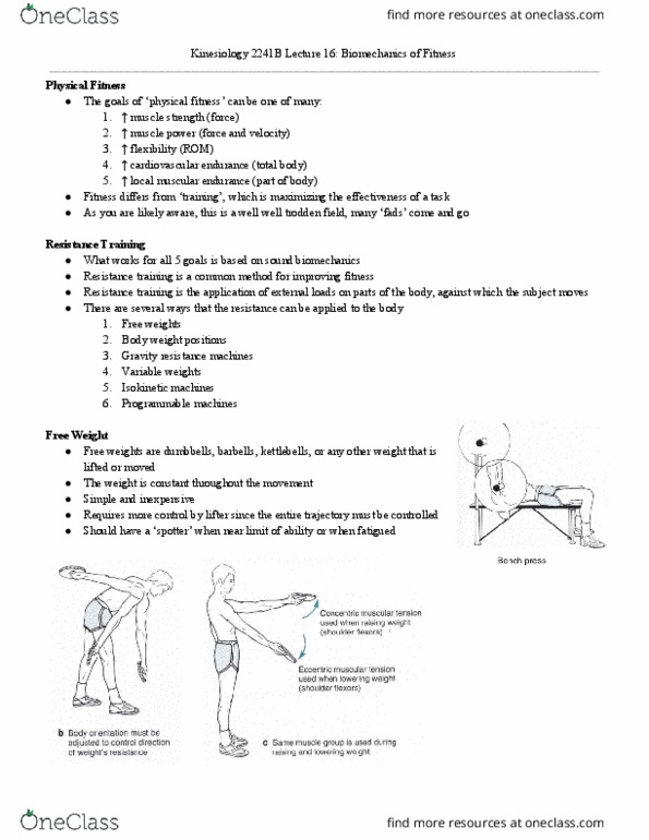 Kinesiology 2241A/B Lecture Notes - Lecture 16: Quadriceps Femoris Muscle, Maximum Force, Weight Training thumbnail