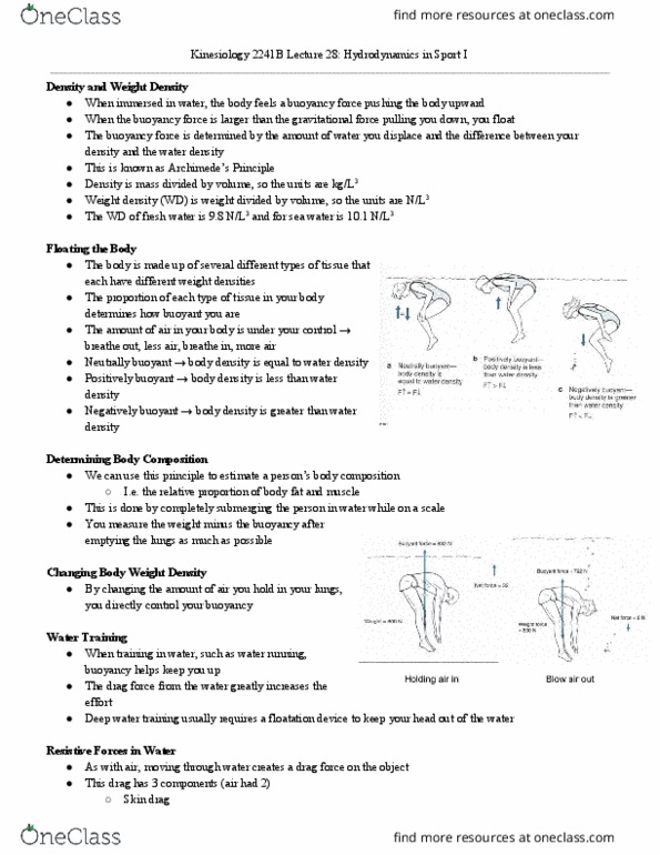 Kinesiology 2241A/B Lecture Notes - Lecture 28: Backstroke, Parasitic Drag thumbnail