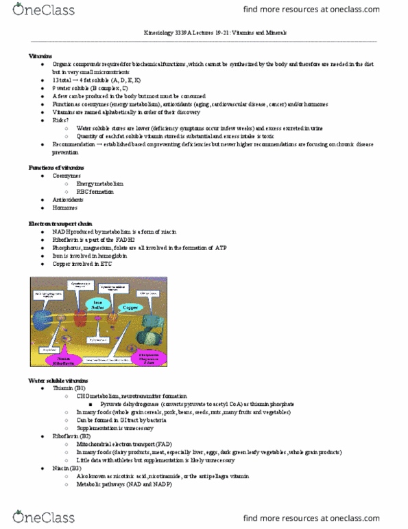 Kinesiology 3339A/B Lecture Notes - Lecture 5: Ceruloplasmin, Pyridoxine, Vitamin B6 thumbnail