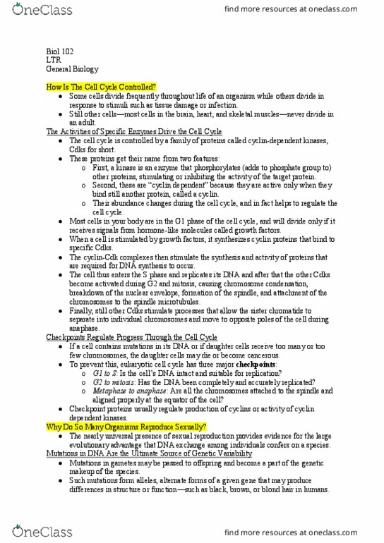 BIOL 102 Lecture Notes - Lecture 18: Microtubule, Homologous Chromosome, Dna Replication thumbnail