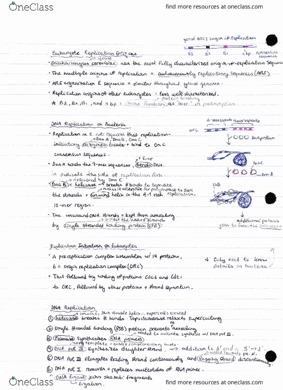 BIO341H5 Lecture 2: DNA Structure & Replication [pt.2] thumbnail