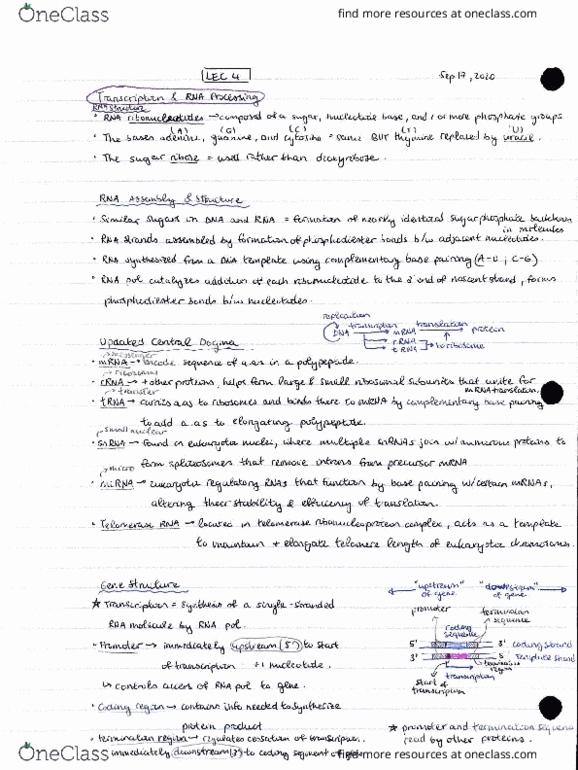 BIO341H5 Lecture Notes - Lecture 4: Canadian English, Vari-Lite, Tfo thumbnail