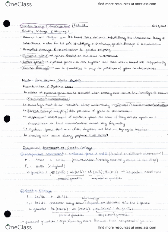 BIO341H5 Lecture Notes - Lecture 14: Bwe Karen Language, Plat thumbnail