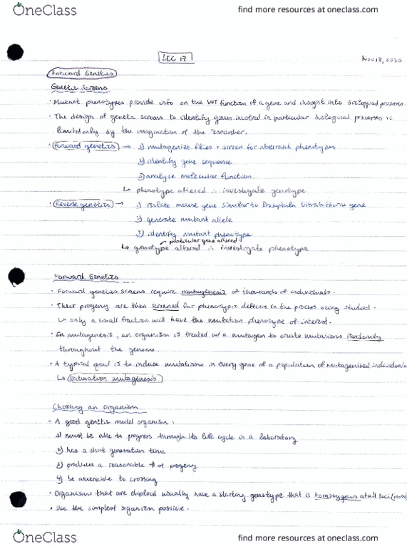 BIO341H5 Lecture Notes - Lecture 17: Hdv, .Su, Allele thumbnail