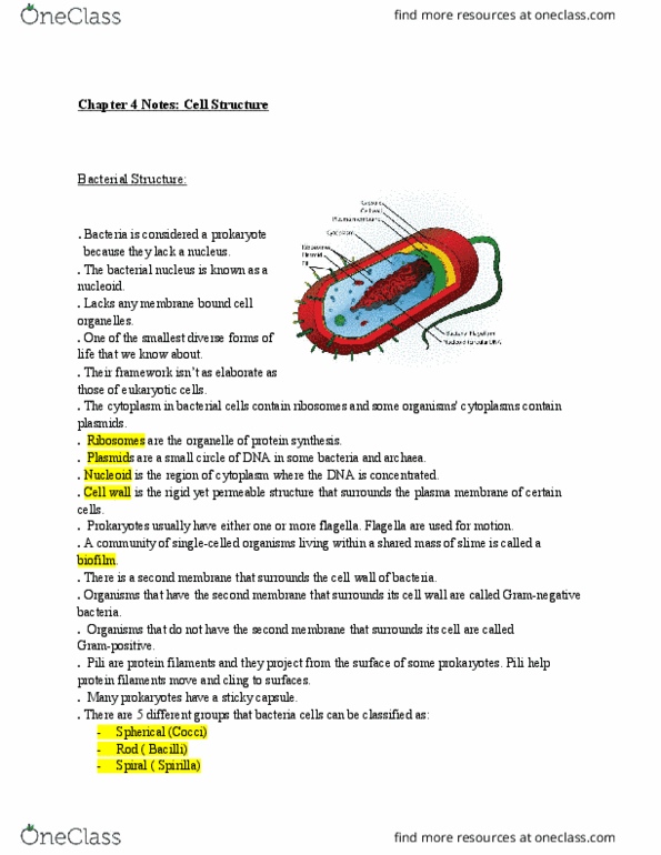 BY 101 Chapter Notes - Chapter 4: Cell Membrane, Cell Wall, Archaea thumbnail