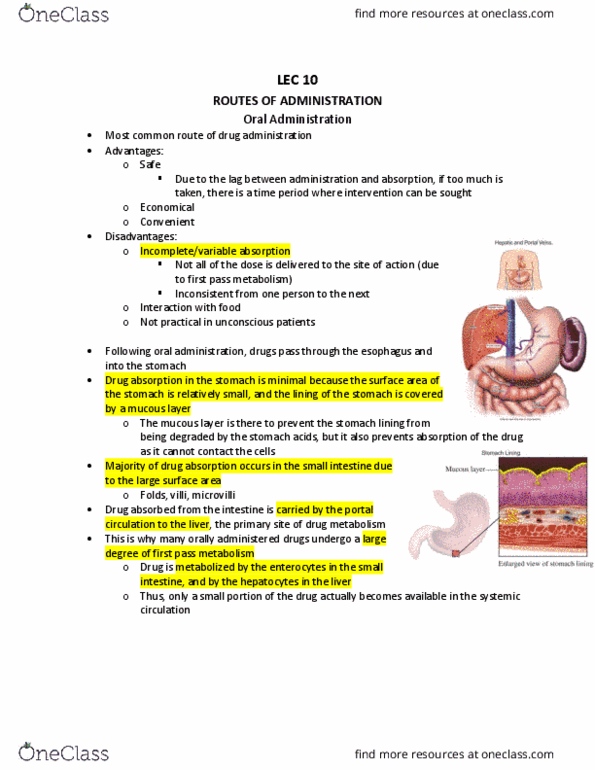 Pharmacology 3620 Lecture Notes - Lecture 10: Acne Vulgaris, Oral Mucosa, Subcutaneous Tissue thumbnail