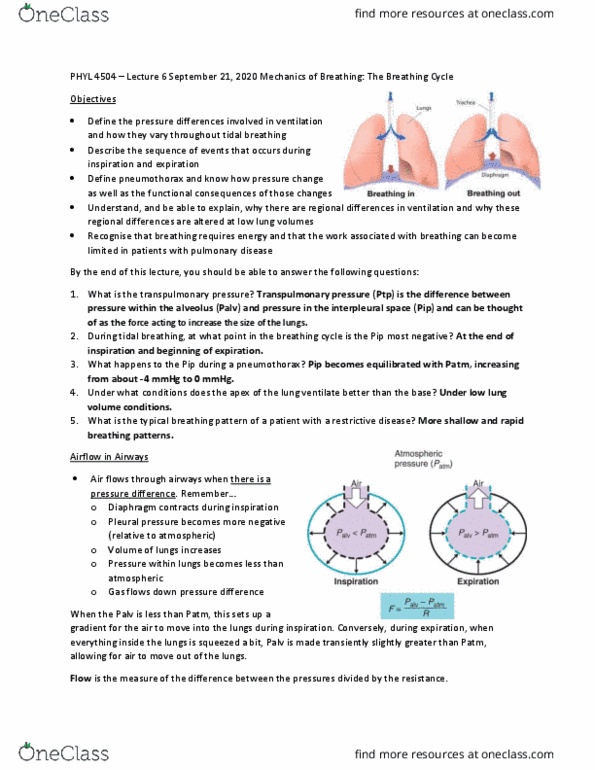 PHYL 4504 Lecture Notes - Lecture 6: Mechanoreceptor, Obstructive Lung Disease, Pneumothorax thumbnail