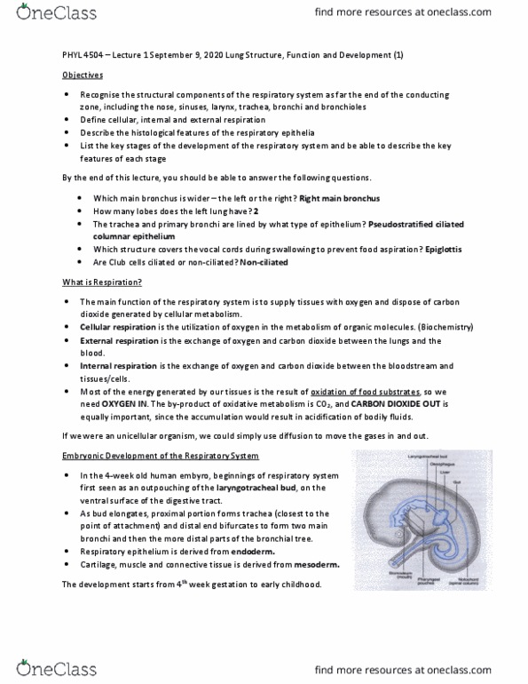 PHYL 4504 Lecture Notes - Lecture 1: Collagen, Unicellular Organism, Main Stem thumbnail