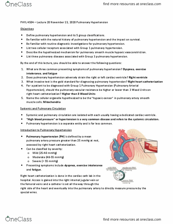 PHYL 4504 Lecture Notes - Lecture 20: Thrombus, Cardiac Catheterization, Pressure Sensor thumbnail