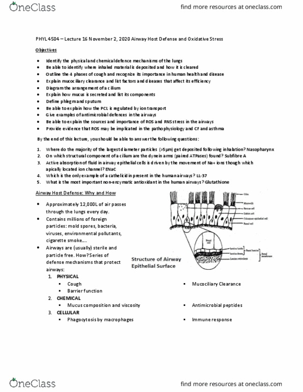 PHYL 4504 Lecture Notes - Lecture 16: Mucociliary Clearance, Antimicrobial Peptides, Oxidative Stress thumbnail