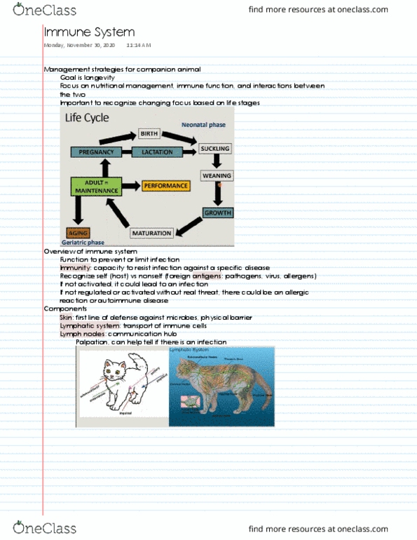 ANS 142 Lecture 16: Immune System thumbnail