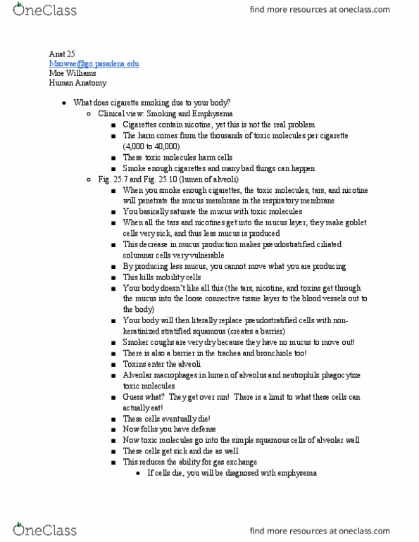 ANAT 025 Lecture Notes - Lecture 23: Moe Williams, Chronic Obstructive Pulmonary Disease, Bronchiole thumbnail