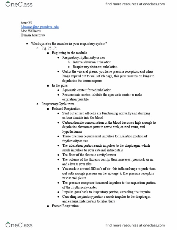 ANAT 025 Lecture Notes - Lecture 22: Pulmonary Pleurae, Respiratory Center, Carotid Sinus thumbnail