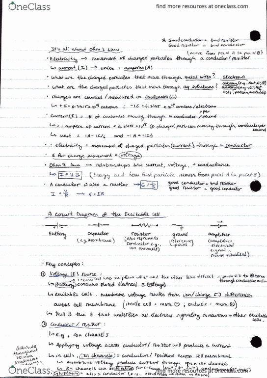 BIO304H5 Lecture Notes - Lecture 3: Intelligence Quotient, Exclusive Or thumbnail