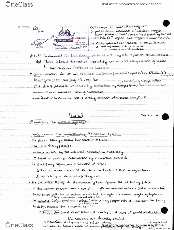 BIO304H5 Lecture Notes - Lecture 2: Junkers D.I, Yuv, .Ql thumbnail