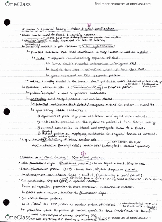 BIO304H5 Lecture Notes - Lecture 2: Ullr, Room Temperature, Junkers F.13 thumbnail