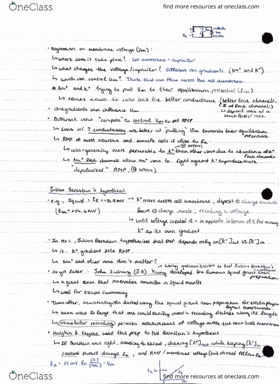 BIO304H5 Lecture Notes - Lecture 4: Fax, Tuu Languages, Czech Koruna thumbnail