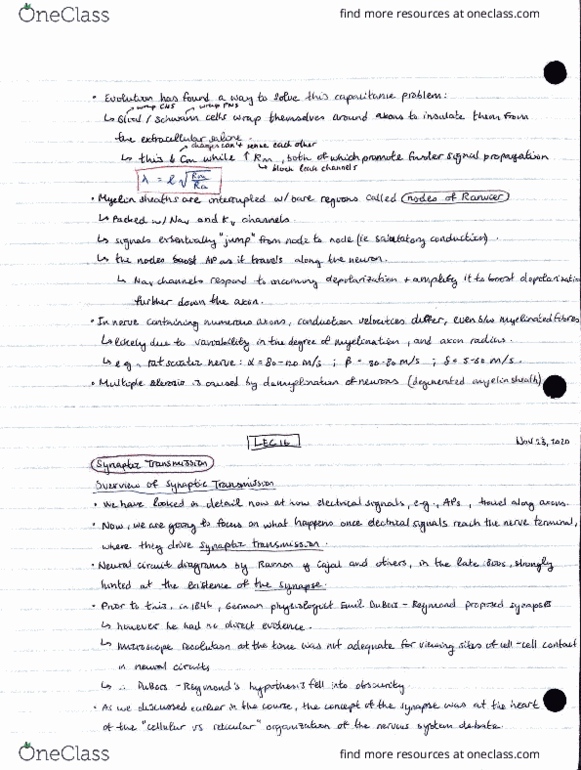 BIO304H5 Lecture Notes - Lecture 16: Bwe Karen Language, Eocene, Fax thumbnail