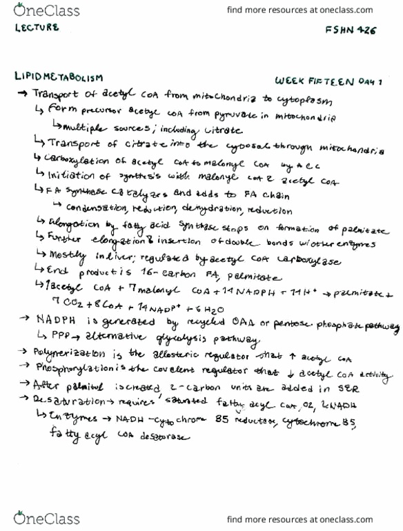 FSHN 426 Lecture Notes - Lecture 15: Carboxylation, Polymerization, Carnitine thumbnail