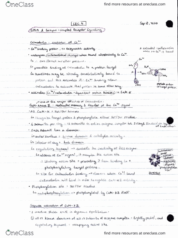 BIO315H5 Lecture Notes - Lecture 4: Ev12 The North Sea Cycle Route thumbnail
