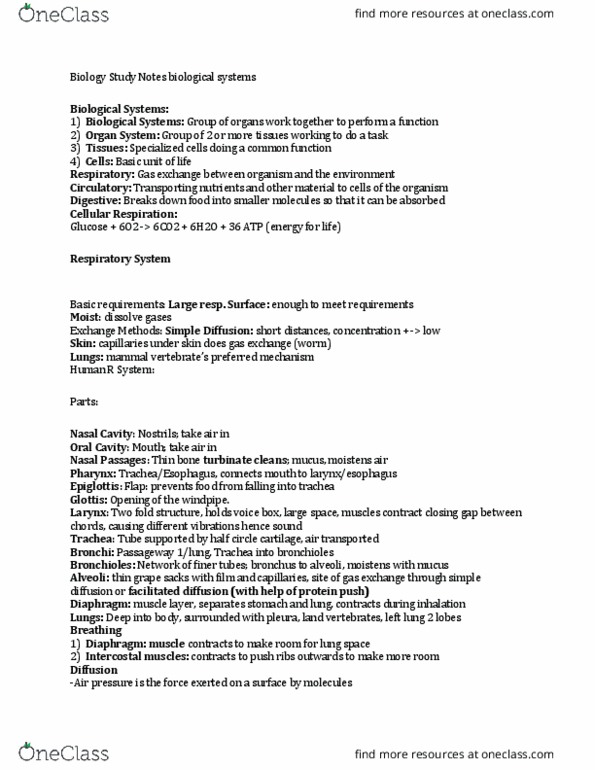 BI110 Lecture Notes - Lecture 1: Hemoglobin, Intercostal Muscle, Pharynx thumbnail