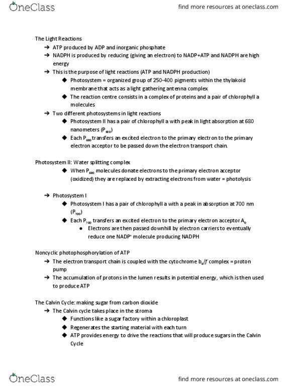 BIO 2137 Lecture Notes - Lecture 11: Rubisco, Peroxisome, Phosphate thumbnail