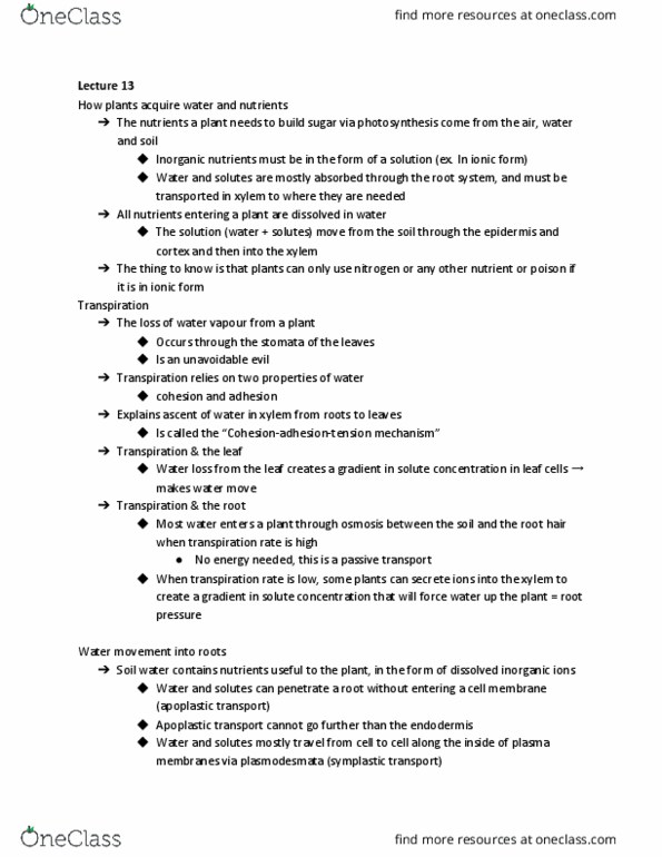 BIO 2137 Lecture Notes - Lecture 13: Stoma, Root Pressure, Active Transport thumbnail