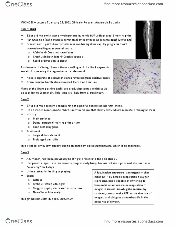 MICI 4218 Lecture Notes - Lecture 7: Ecchymosis, Dental Surgery, Bactericide thumbnail