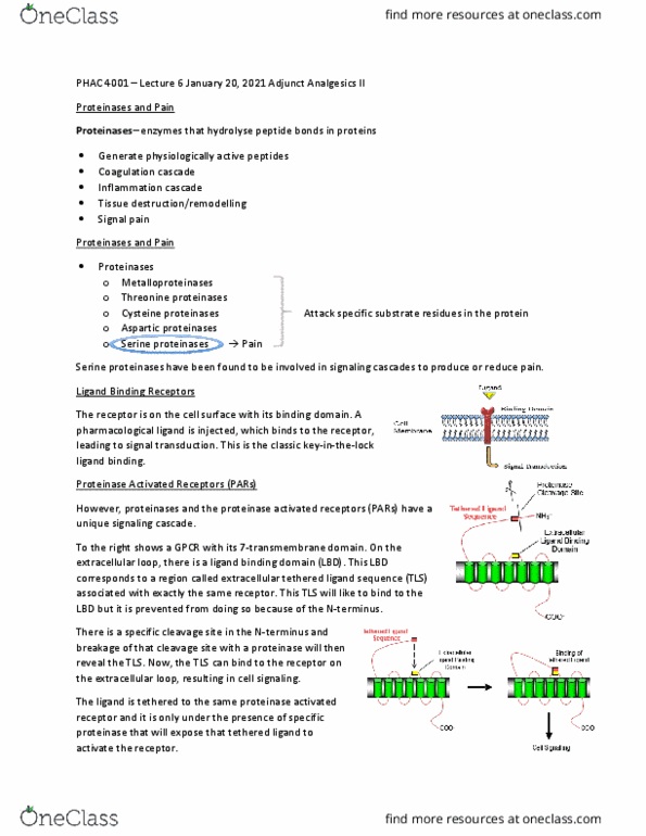 PHAC 4001 Lecture Notes - Lecture 6: Peanut Butter, Afferent Nerve Fiber, Plasmid thumbnail
