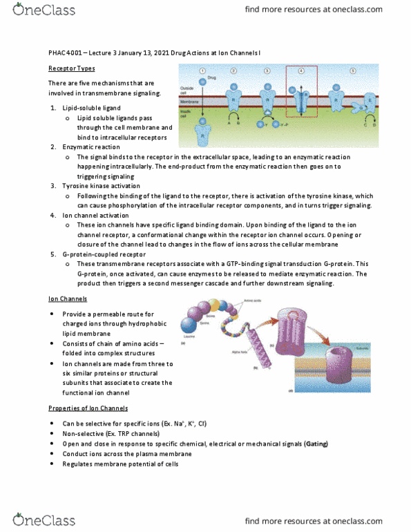 PHAC 4001 Lecture Notes - Lecture 3: Neuropeptide, Nicotine, Resting Potential thumbnail