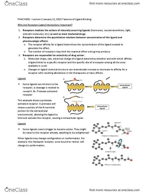 PHAC 4001 Lecture Notes - Lecture 2: Retinol, Rhodopsin, Grb2 thumbnail