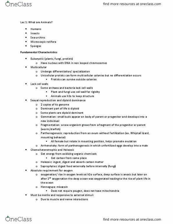 BIOB34H3 Lecture Notes - Blastula, Rotifer, Egg Cell thumbnail