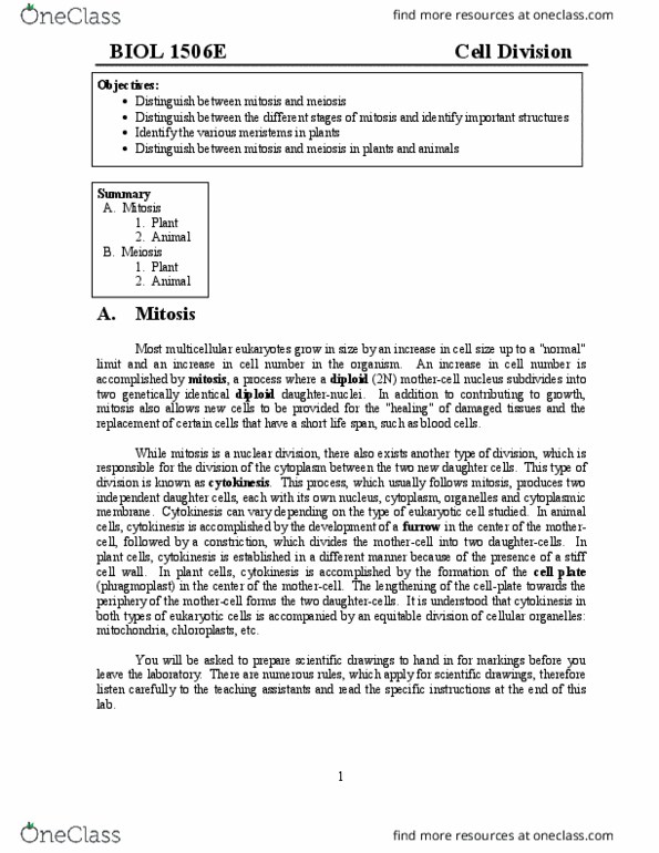 BIOL-1506EL Lecture Notes - Lecture 8: Chromosome, Cleavage Furrow, Gamete thumbnail