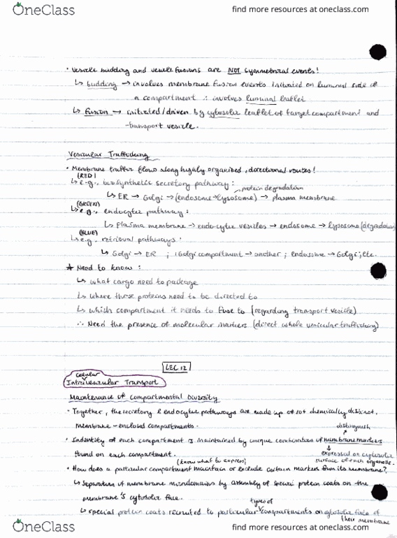 BIO315H5 Lecture Notes - Lecture 12: Eocene, Chief Operating Officer, Fax thumbnail