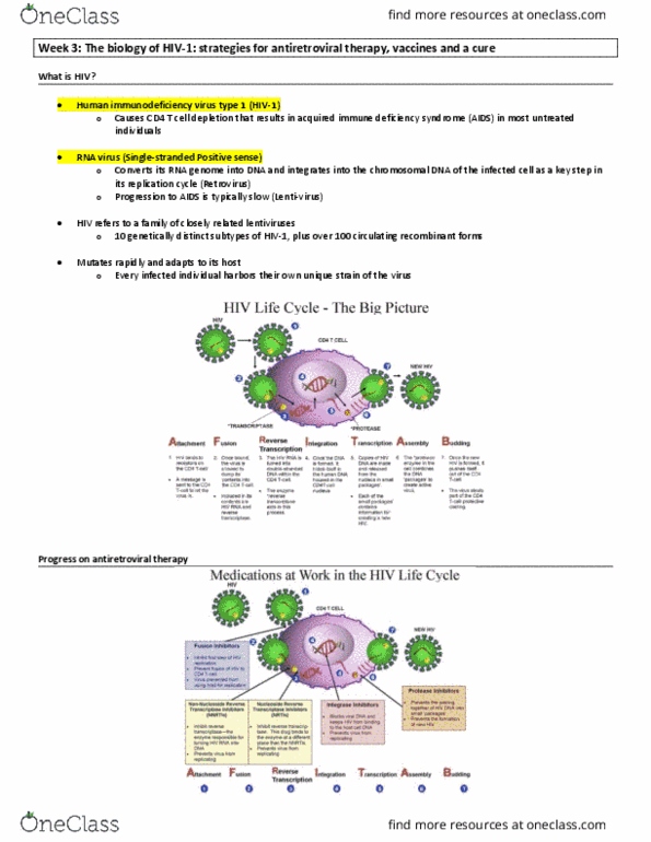 HSCI 431 Lecture Notes - Lecture 3: Aids, Hiv Vaccine, Lentivirus thumbnail